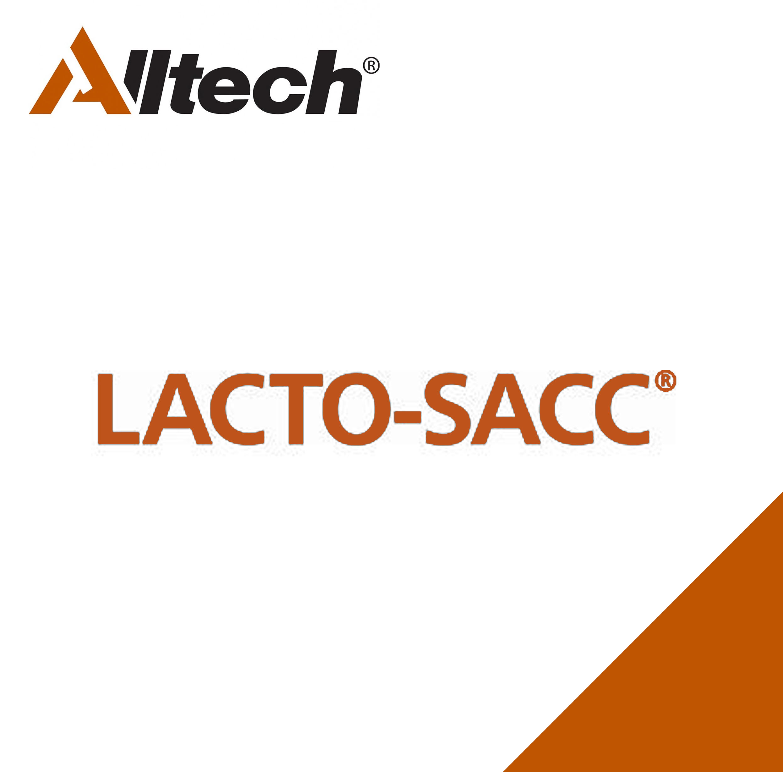 Lacto-sacc celulas levadura viables bacterias acido lactica